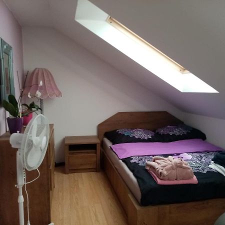 Apartament Podkrovni Apartman Tereza Rumburk Zewnętrze zdjęcie